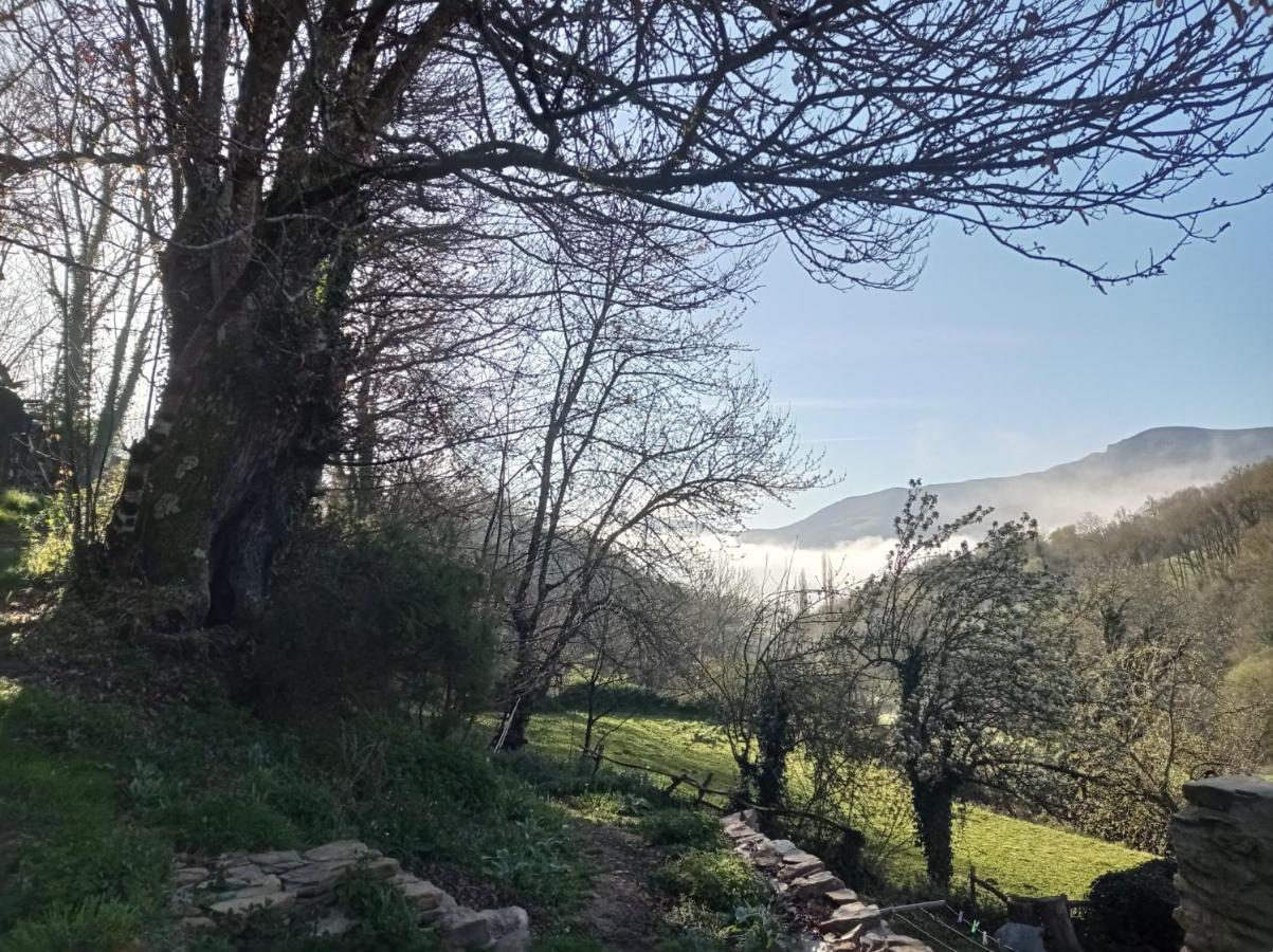 Albergue Eco El Beso - Vegano Tríacastela Buitenkant foto